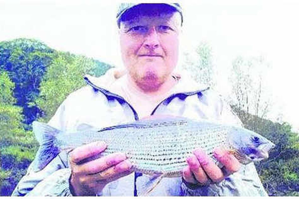Welsh Record Fish list - Fishing Guide Wales 2023